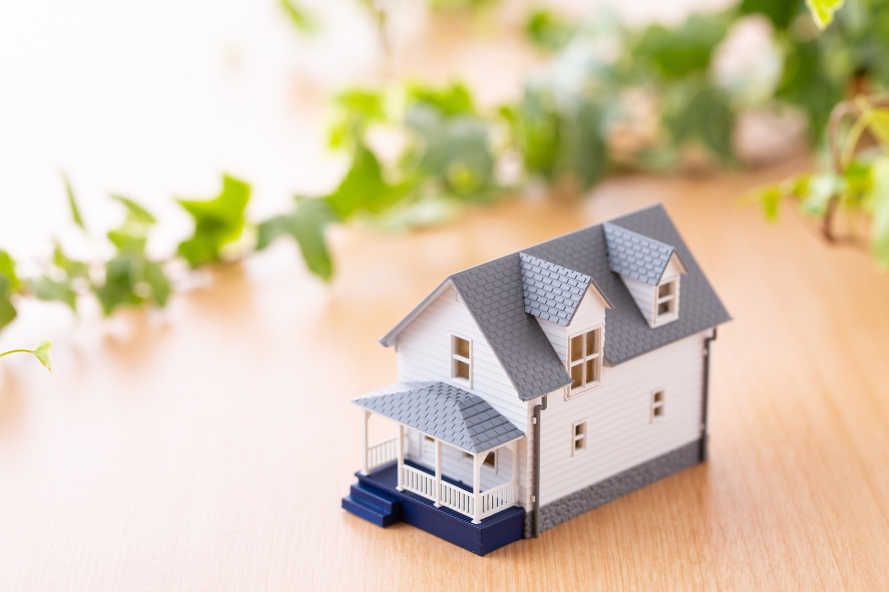 画像：サンプル