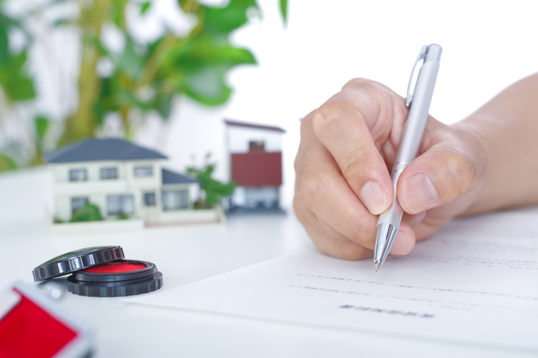 画像：サンプル