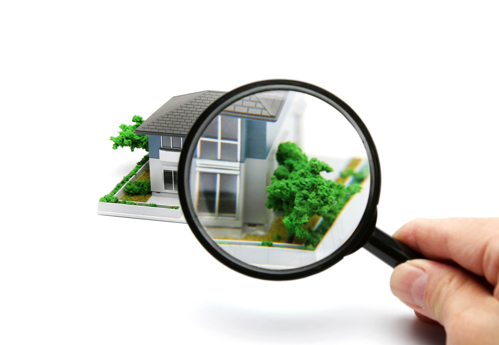 画像：サンプル