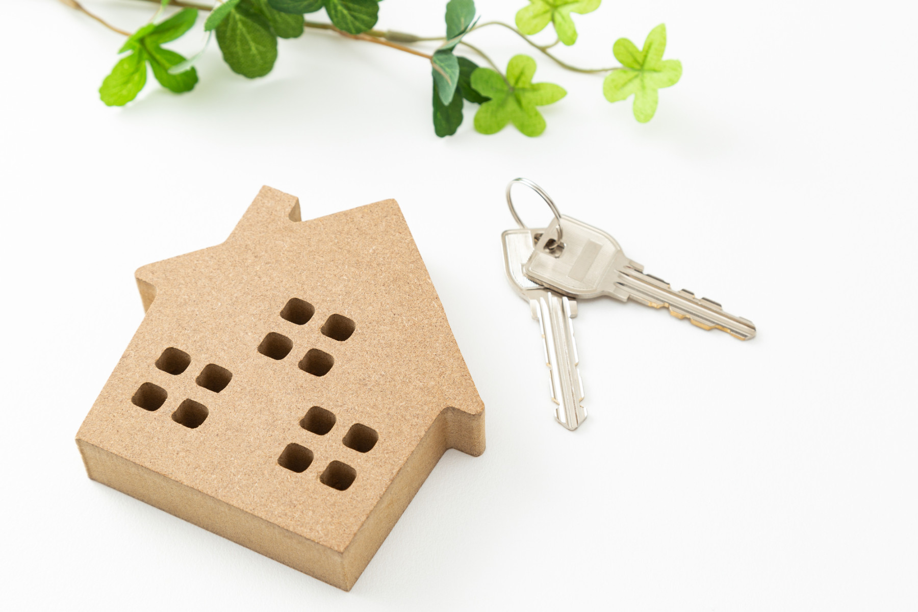 画像：サンプル