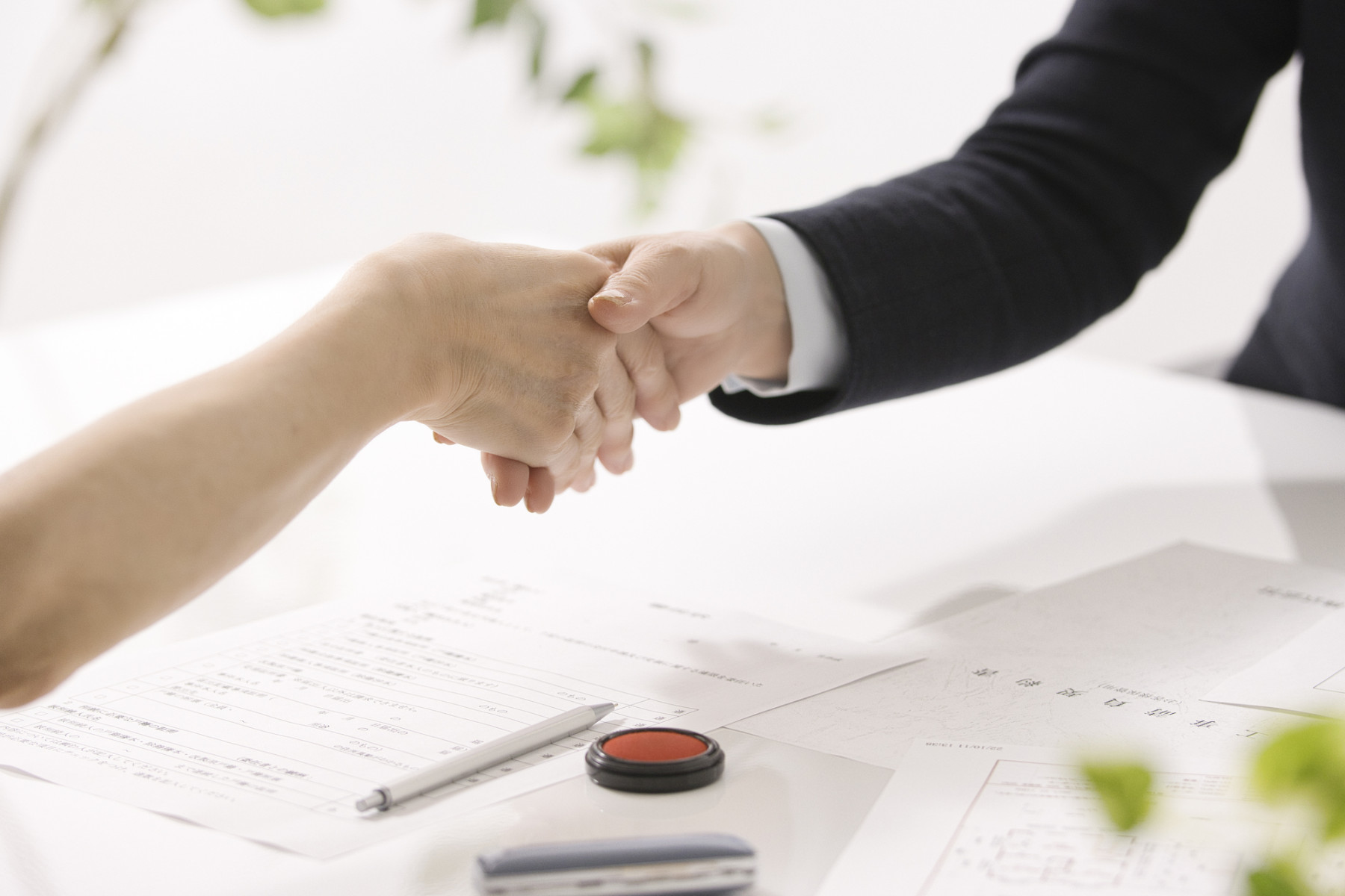 画像：サンプル