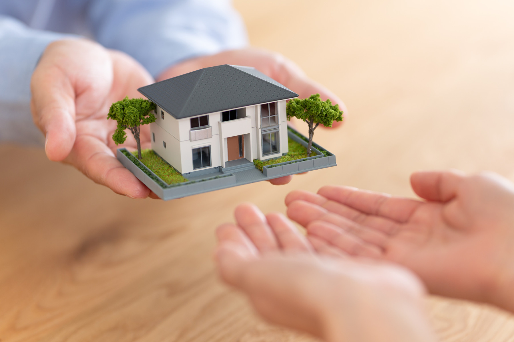 画像：サンプル