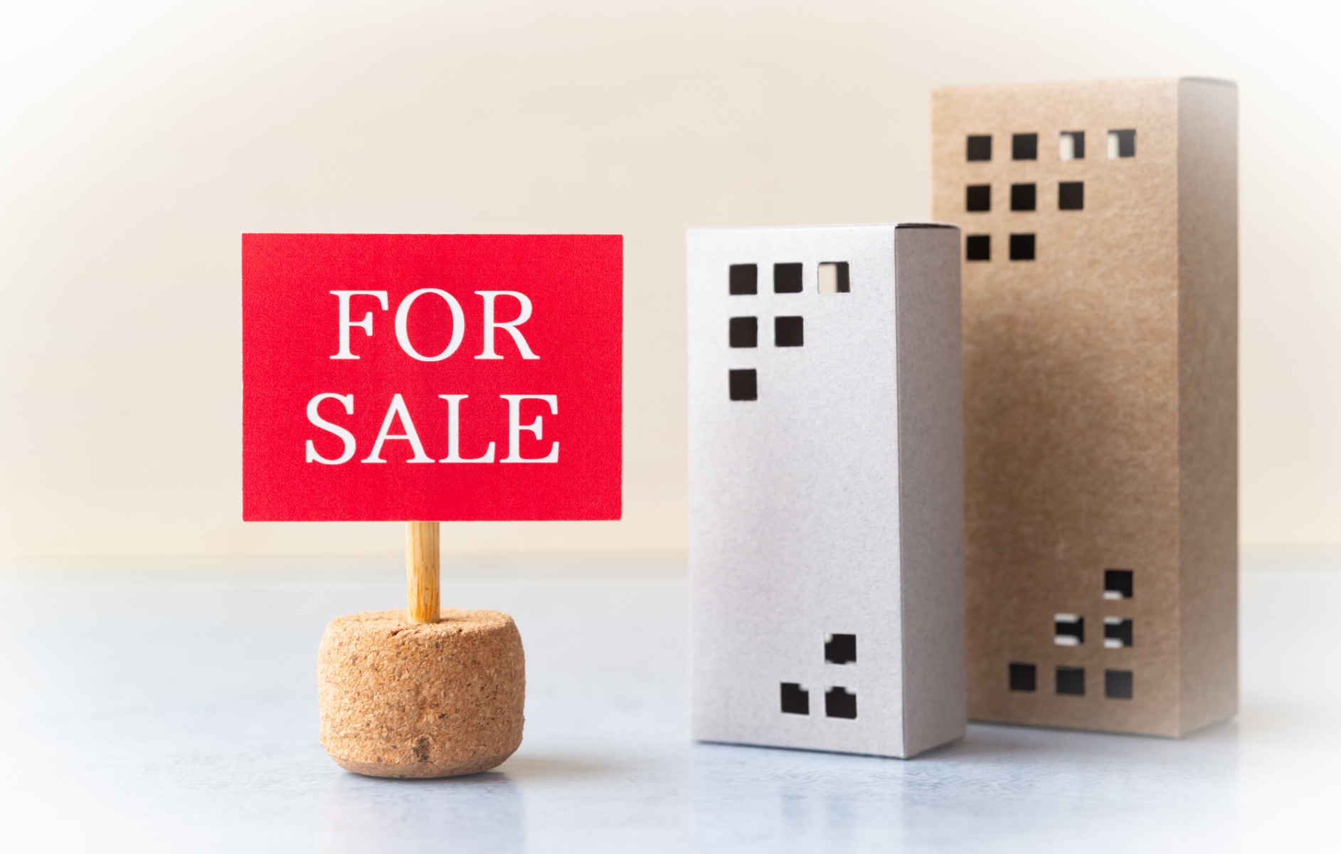 画像：サンプル